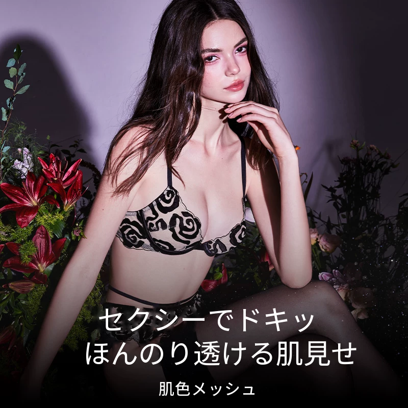 フレンチレースブラ＆ショーツセット　ワイヤー入り　薄手　3/4カップ