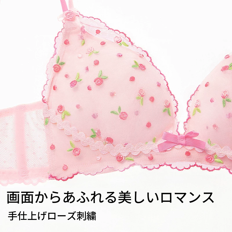 刺繍メッシュのブラ＆ショーツセット　ノンワイヤー　ソフトボーン入り