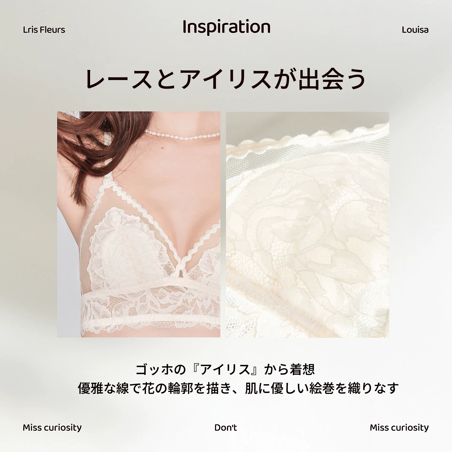 ラビットイヤーカップのフレンチレースブラ＆ショーツセット