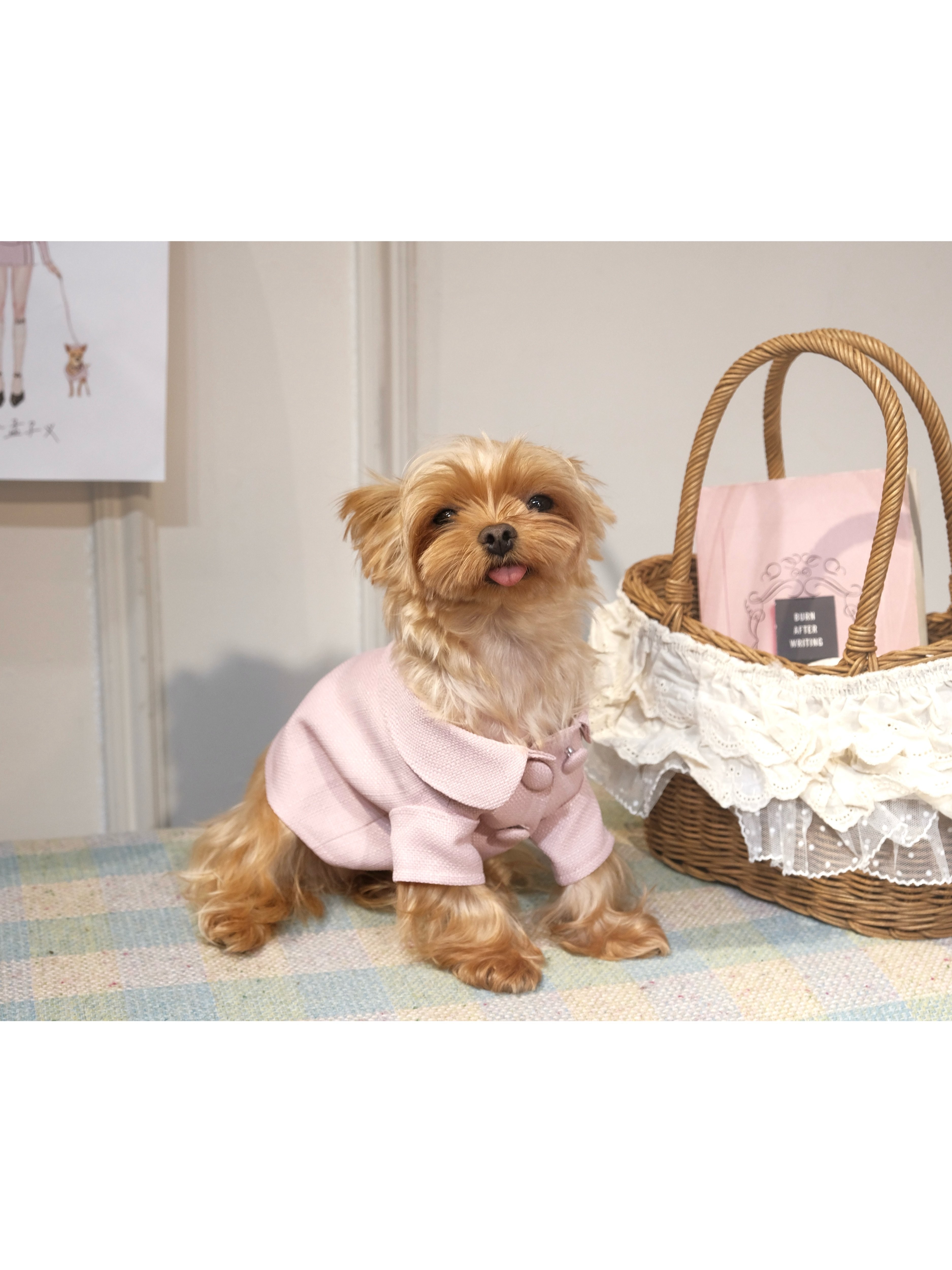 Two Narcissus 丸襟トップス＆帽子