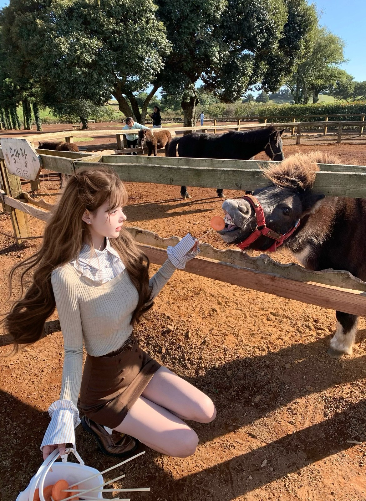 ニットからストライプの襟と袖🤎 写真2